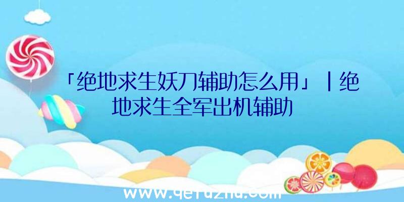 「绝地求生妖刀辅助怎么用」|绝地求生全军出机辅助